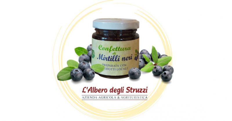   Offerta vendita Confettura di mirtilli neri 100 gr artigianale Shop online Italia